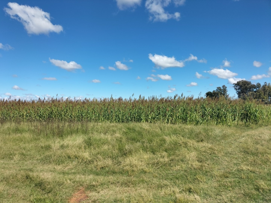 3 Bedroom Property for Sale in Bloemfontein Rural Free State